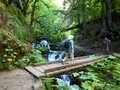 Waterfall Hikes